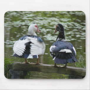 Tapis De Souris Canards de Muscovy