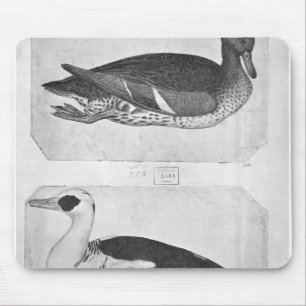 Tapis De Souris Canards, le de l'album de Vallardi