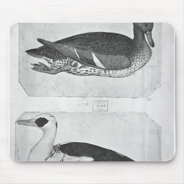 Tapis De Souris Canards, le de l'album de Vallardi (Devant)