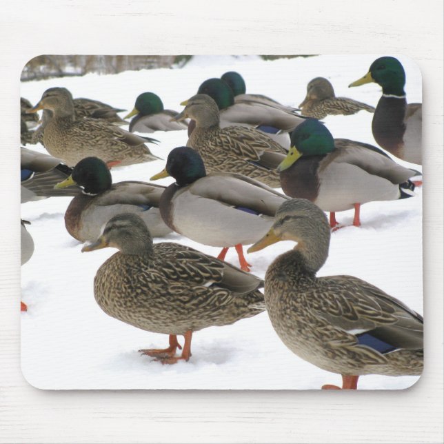 Tapis De Souris Canards ! Mousepad (Devant)