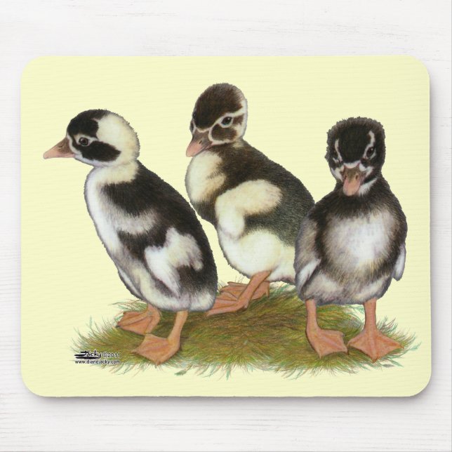 Tapis De Souris Canetons coureurs Emery crayonnés (Devant)
