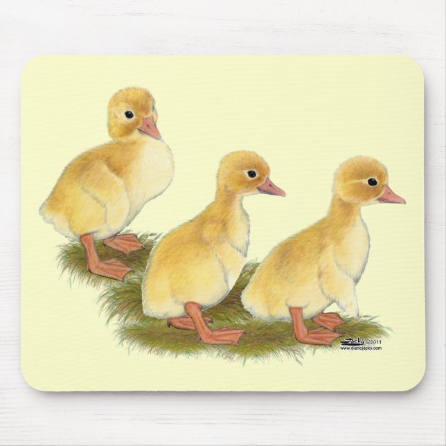 Tapis De Souris Canettes jaunes (Devant)