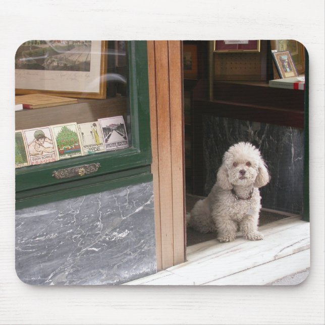 Tapis De Souris Caniche nain blanc (Devant)