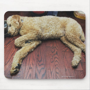 Tapis De Souris Caniche standard dormant sur le plancher