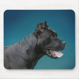 Tapis De Souris Canne Corso - mastiff italien