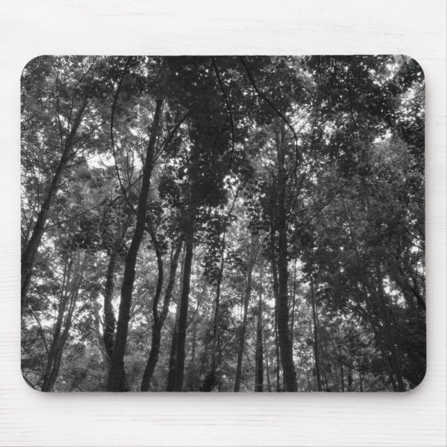 Tapis De Souris Canopée de bois 02 BW (Devant)
