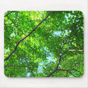 Tapis De Souris Canopée verte, Branches feuillues avec ciel bleu