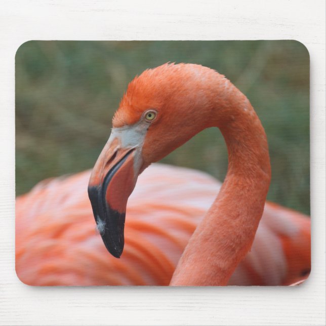 Tapis De Souris Caoutchouc de phoenicopterus (Devant)