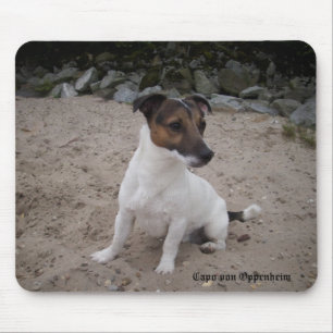 Tapis De Souris Capo von Oppenheim Jack Russell Terrier, Chien