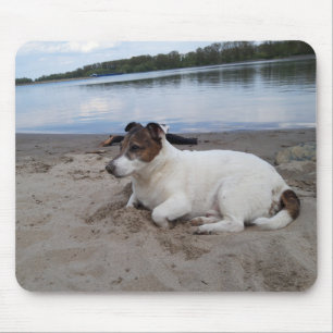 Tapis De Souris Capo von Oppenheim Jack Russell Terrier, Chien