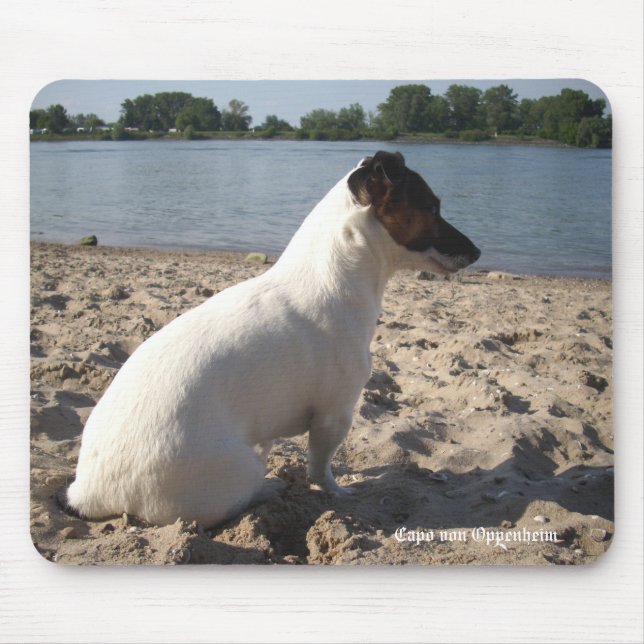 Tapis De Souris Capo von Oppenheim Jack Russell Terrier, Chien (Devant)
