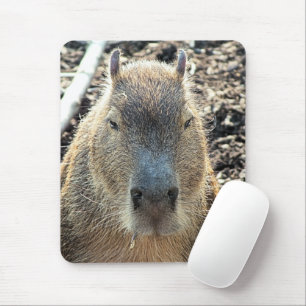 TAPIS DE SOURIS CAPYBARA