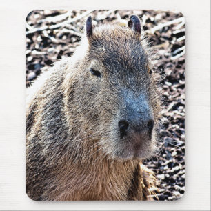 TAPIS DE SOURIS CAPYBARA ANIMAL SAUVAGE