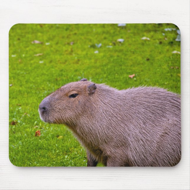 Tapis De Souris Capybara Mousepad (Devant)