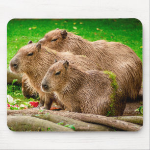 Tapis De Souris Capybara Trio