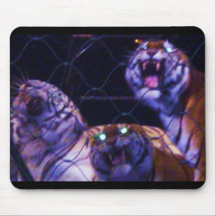 TAPIS DE SOURIS CARACTÉRISTIQUES DE CAGE