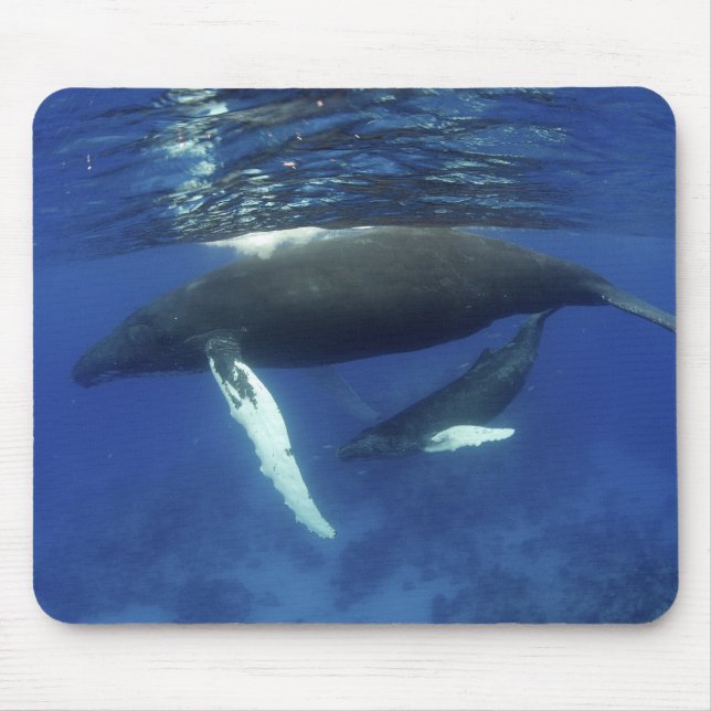Tapis De Souris Caraïbes, archipel des Grandes Antilles, (Devant)