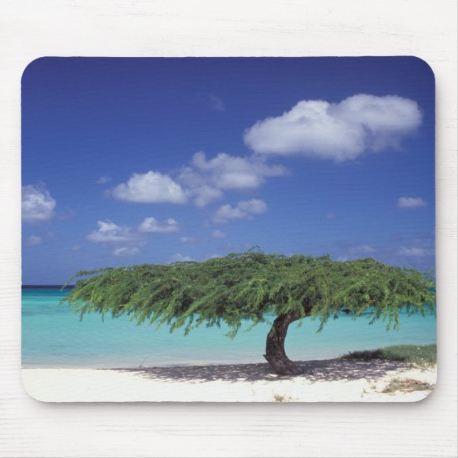 Tapis De Souris Caraïbes, Aruba. Plage Eagle (Devant)