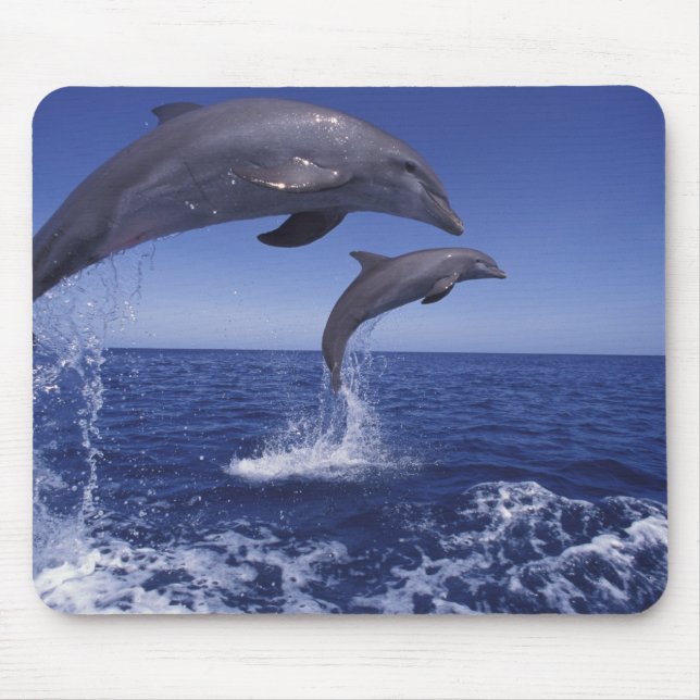 Tapis De Souris Caraïbes, dauphins à gros nez (Devant)
