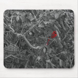 Tapis De Souris Cardinal dans un arbre Mousepad