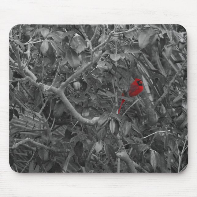 Tapis De Souris Cardinal dans un arbre Mousepad (Devant)