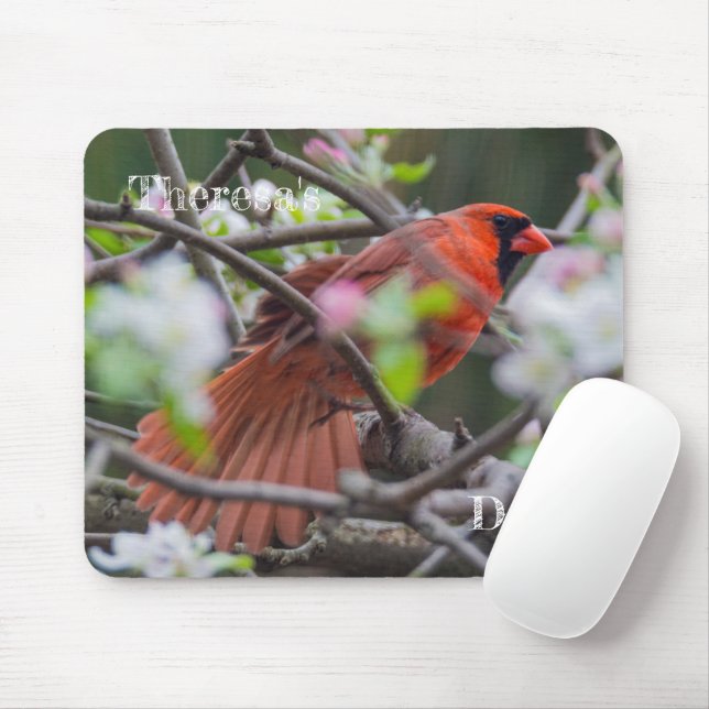 Tapis De Souris Cardinal masculin au printemps (Avec souris)