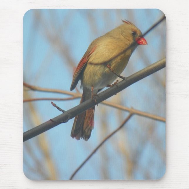 Tapis De Souris Cardinal/Oiseau féminin (Devant)