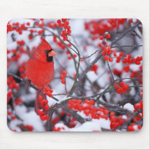 Tapis De Souris Cardinal rouge mâle, Hiver, IL