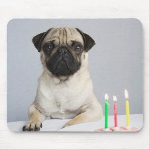 Tapis De Souris Carlin d'anniversaire