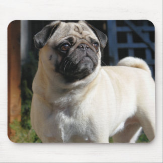 Tapis De Souris Carlin mignon Mousepad de faon