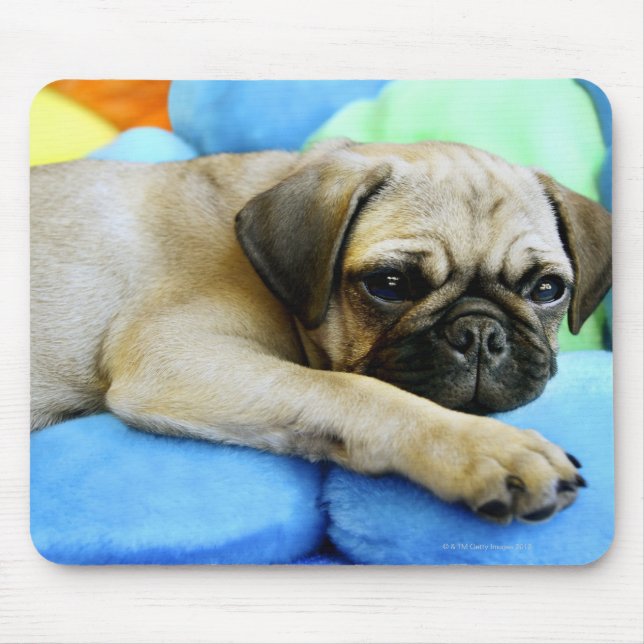 Tapis De Souris Carlin relatif aux coussins (Devant)