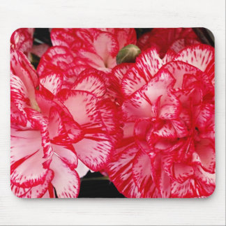 Tapis De Souris Carnation rouge et blanc - ordinateur mousepad