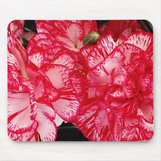 Tapis De Souris Carnation rouge et blanc - ordinateur mousepad (Devant)