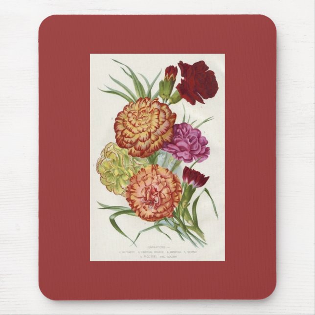 Tapis De Souris Caroties (Devant)