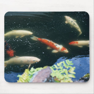 Tapis De Souris Carpe
