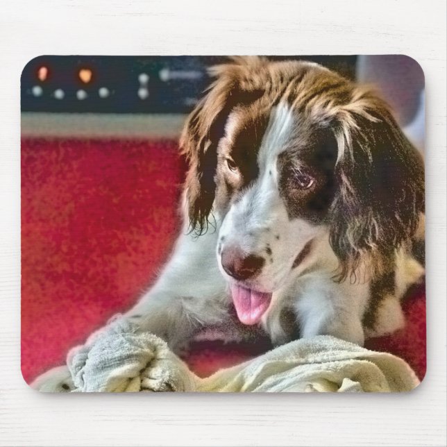 Tapis De Souris Carte de la souris de délai de lecture (Devant)