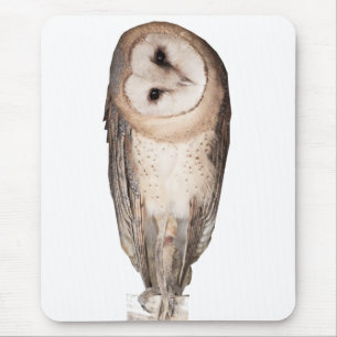 Tapis De Souris Carte des chouettes curieux.