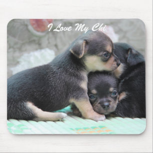 Tapis De Souris Carte Souris Chihuahua Ajouter Photo Et Texte