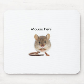Tapis De Souris Carte souris cool
