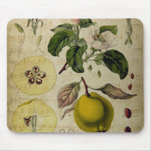 Tapis De Souris Carte vintage