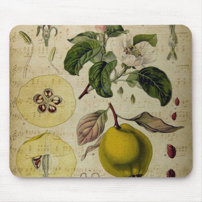 Tapis De Souris Carte vintage (Devant)