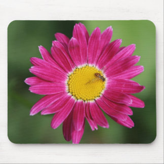 Tapis De Souris Cartes de marguerite peintes et plus