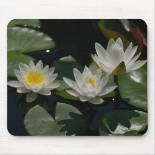 Tapis De Souris Cartes Lily Nénuphars Lotus Blanches