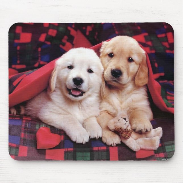 Tapis De Souris Cartes photos de chiens adorables, cadeaux - Perso (Devant)