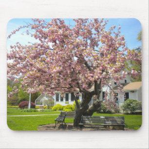 Tapis De Souris Cartouche de souris Cherry Blossoms