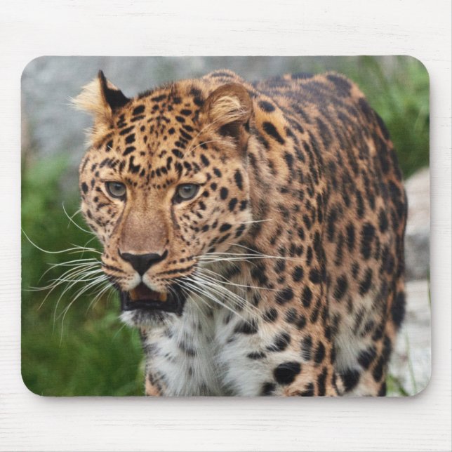 Tapis De Souris Cartouche de souris Leopard (Devant)