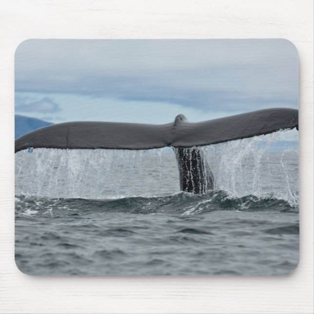 Tapis De Souris Cascade (Devant)