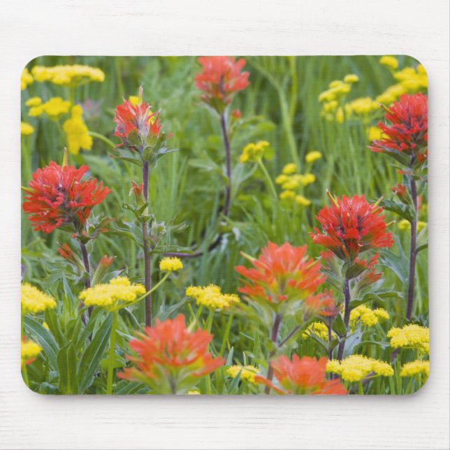Tapis De Souris Castilleja et biscuitroot fleurs sauvages (Devant)