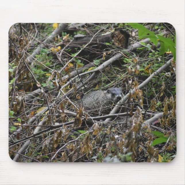 Tapis De Souris Castor occupé (Devant)