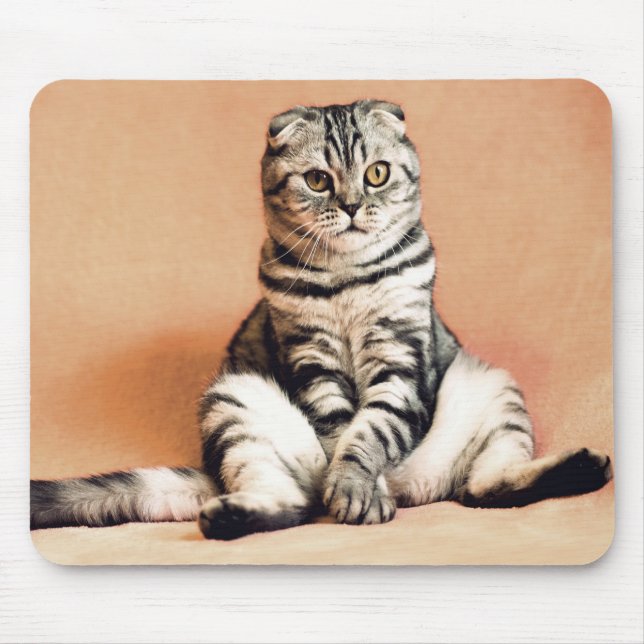 Tapis De Souris Cat (Devant)